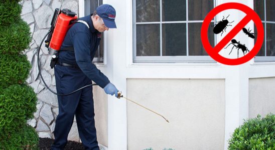 Muğla Gümüşkurt İlaçlama böcek ilaçlama ve haşere kontrolü — ilaclama-tr.com
